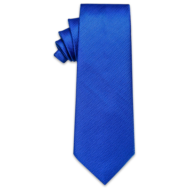 Royal Blue Solid Silk Necktie with Golden Tie Clip
