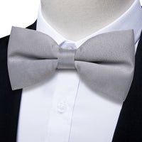 Grey Solid Pre-tied Father and Son Bowtie